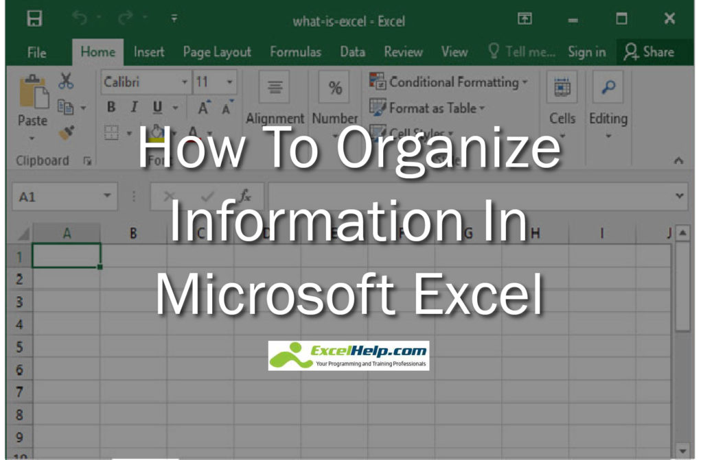 How To Organize Information In Microsoft Excel