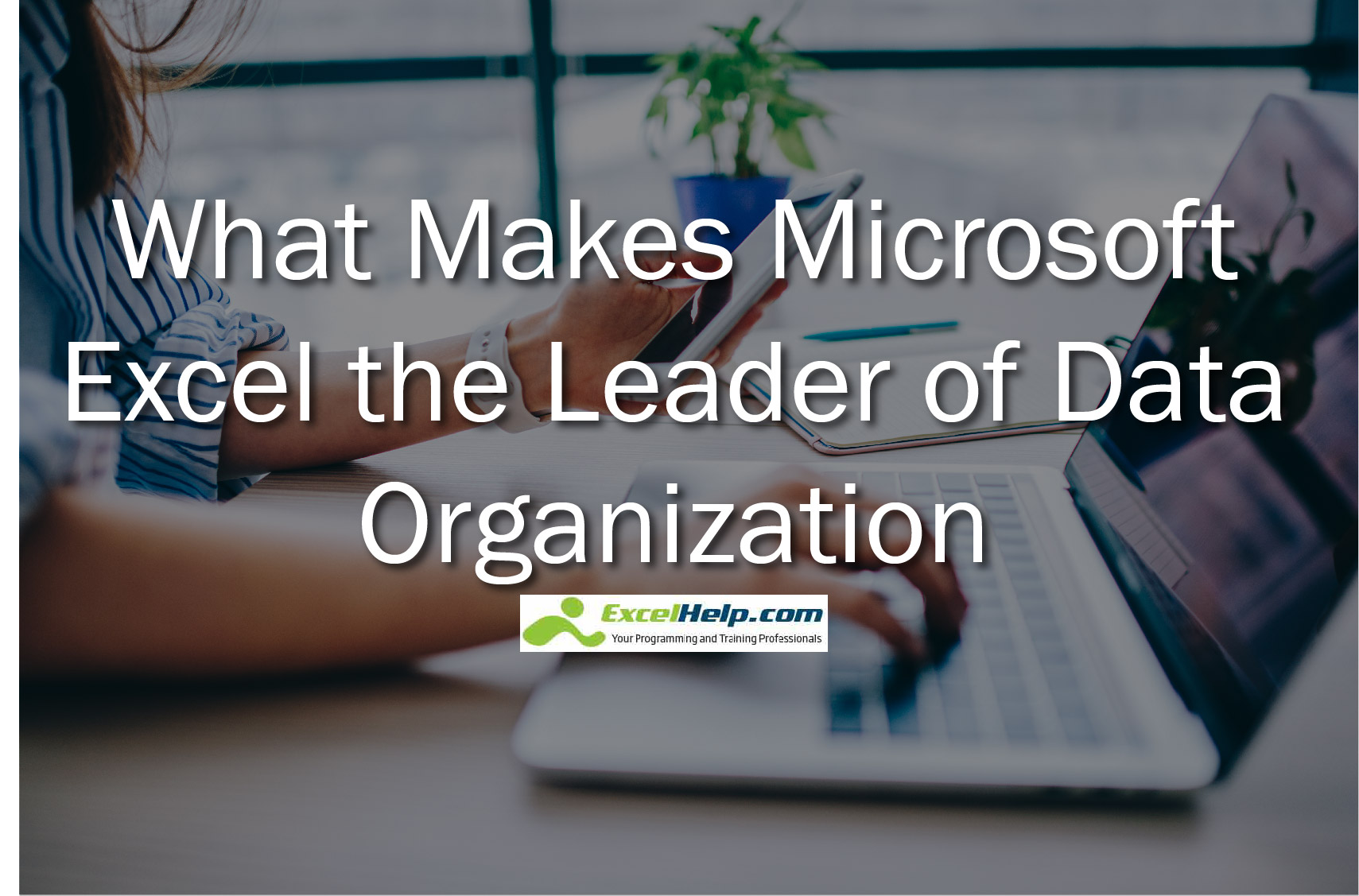 What Makes Microsoft Excel the Leader of Data Organization